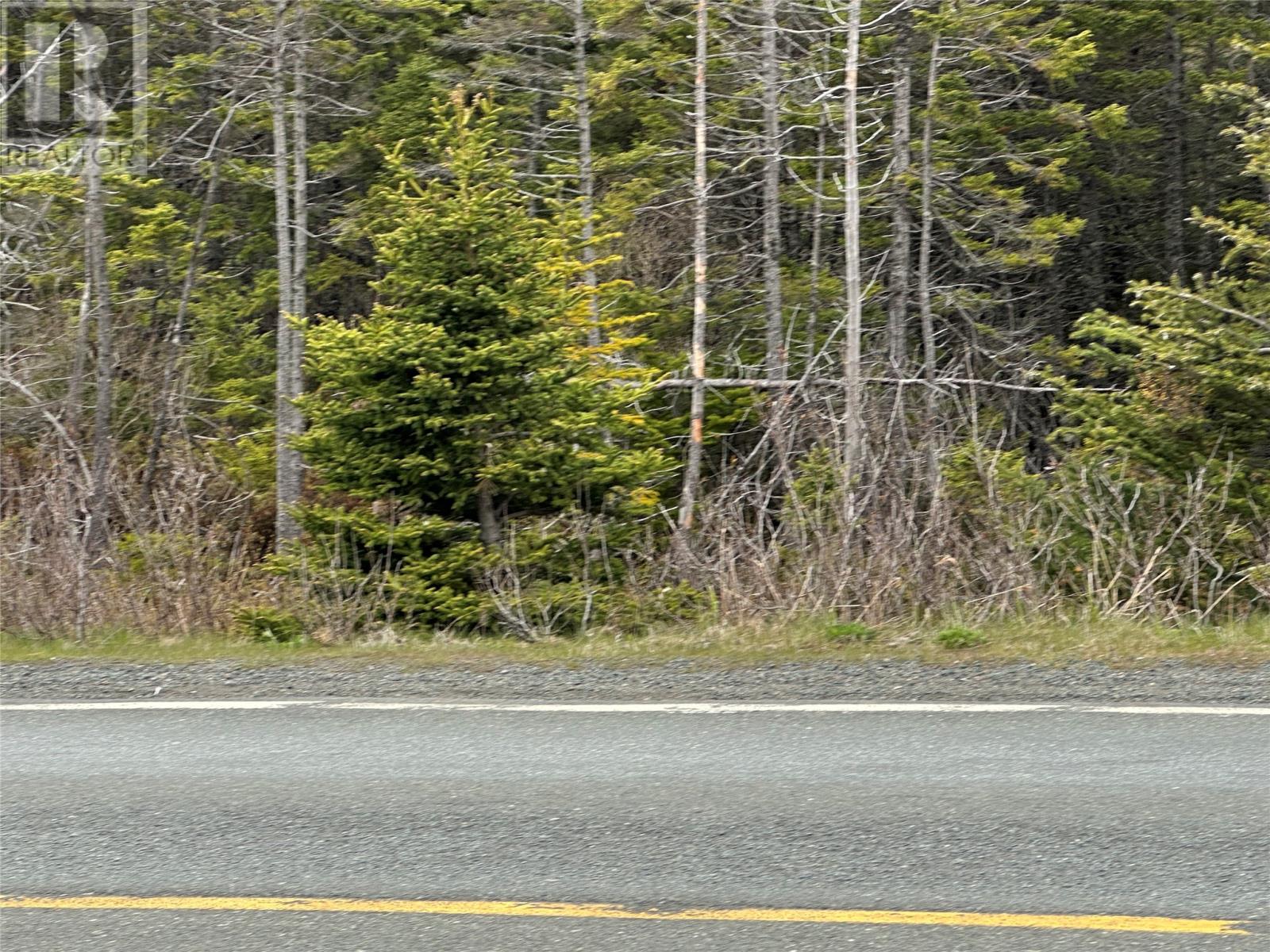 Photo 24 of 138 146 Conception Bay Highway, Holyrood NL