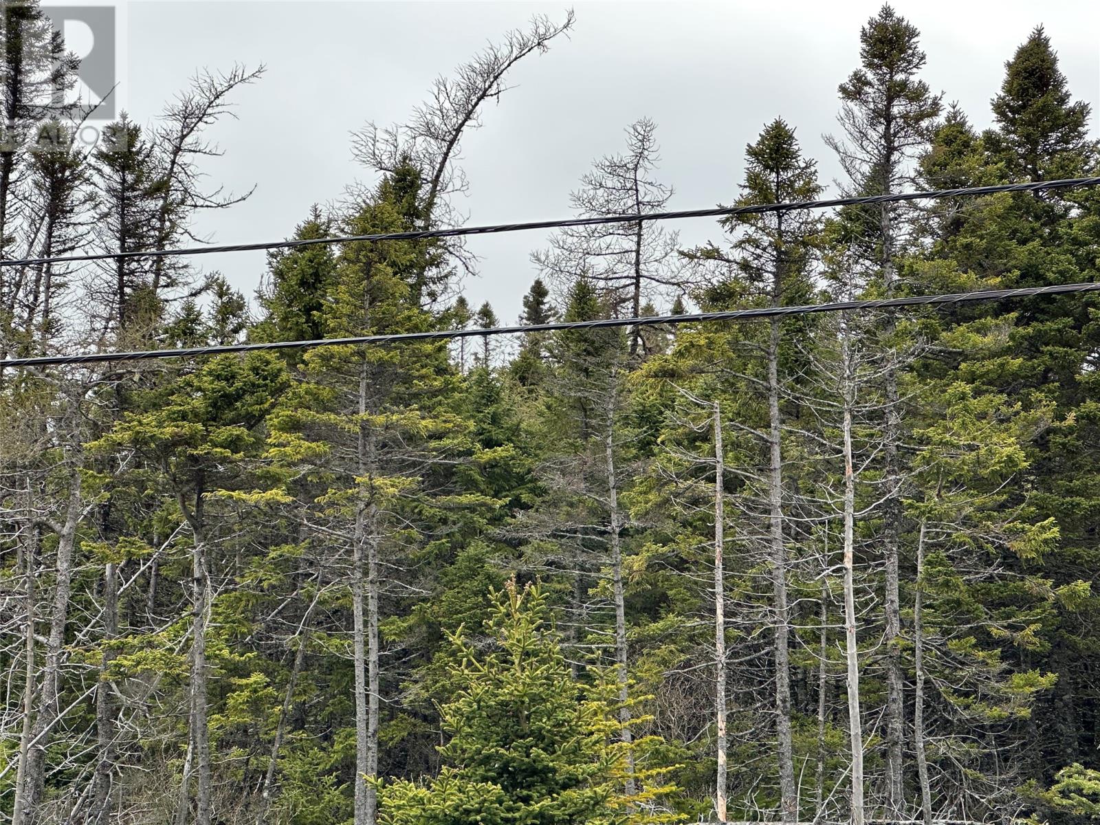 Photo 25 of 138 146 Conception Bay Highway, Holyrood NL