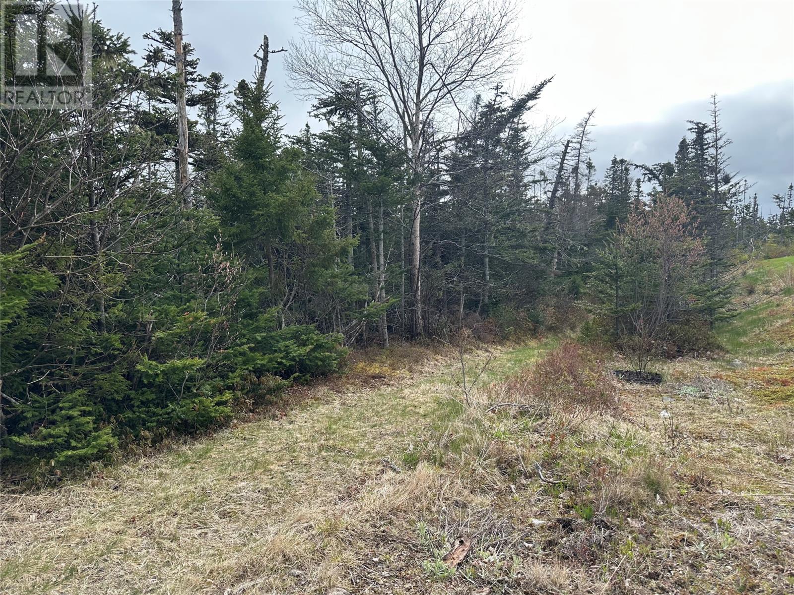 Photo 5 of 138 146 Conception Bay Highway, Holyrood NL