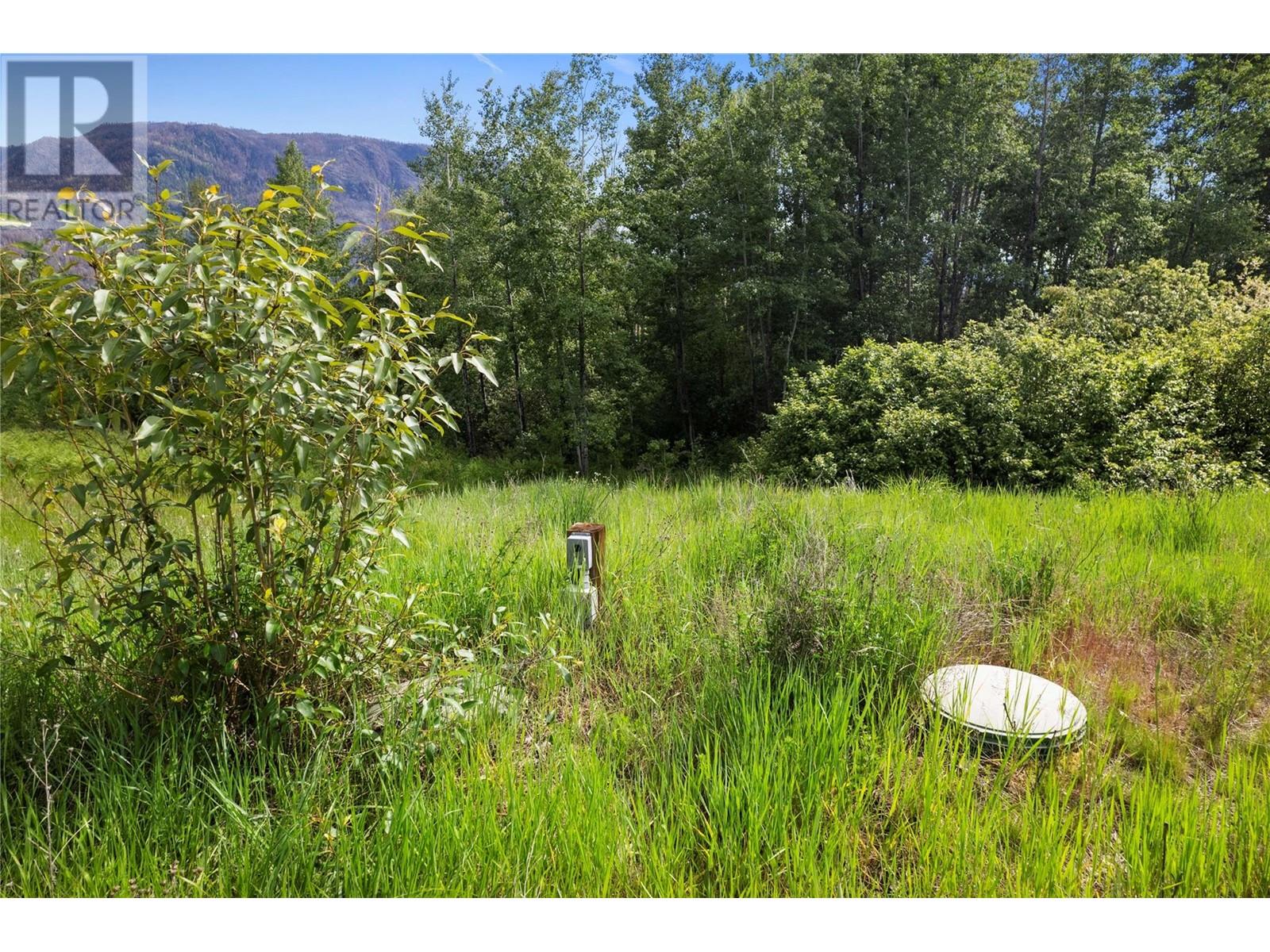 Photo 12 of 2481 Squilax Anglemont Lot 38 Road, Lee Creek BC
