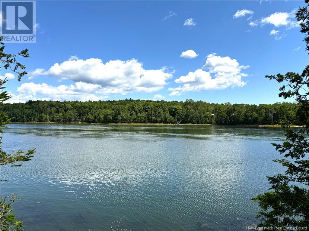 379 Hills Point Road — photo 3