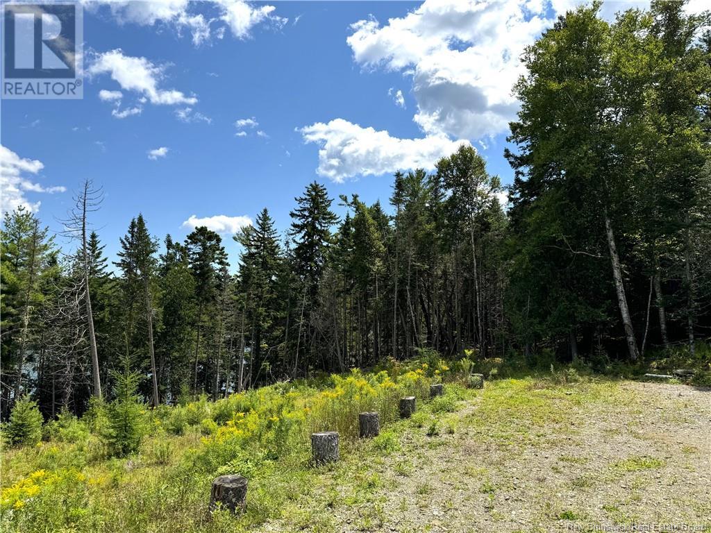 379 Hills Point Road — photo 9