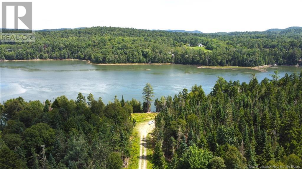 379 Hills Point Road — photo 4