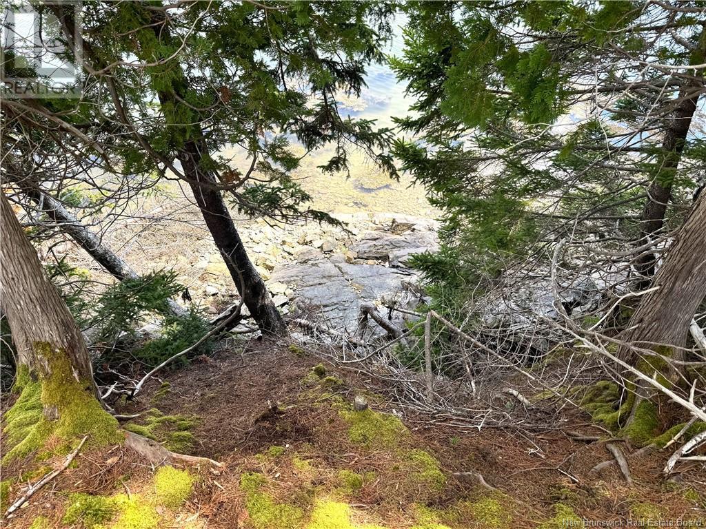 379 Hills Point Road — photo 11