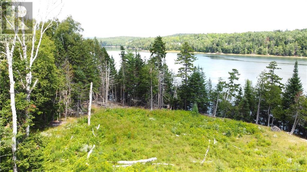 379 Hills Point Road — photo 20