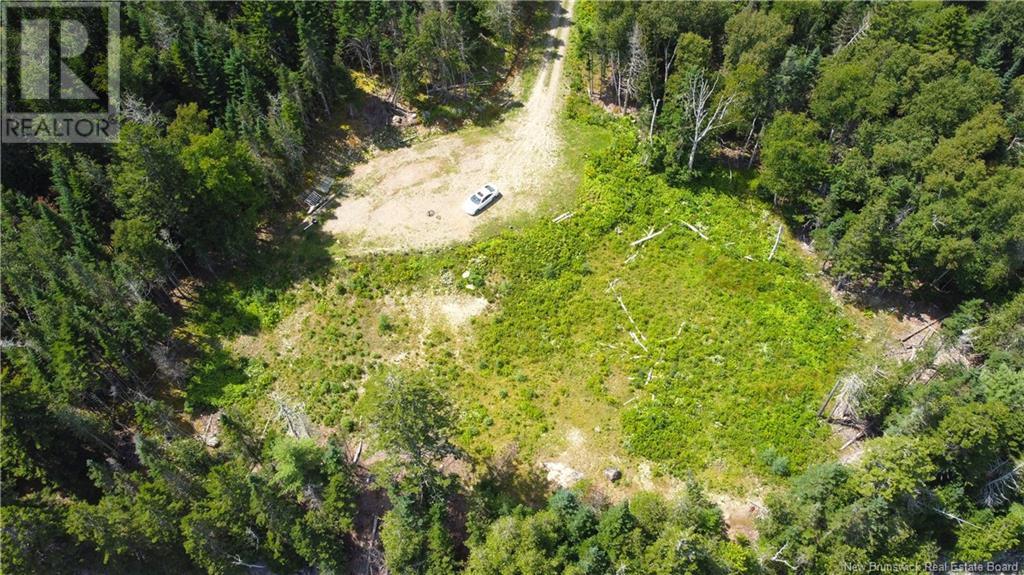 379 Hills Point Road — photo 16