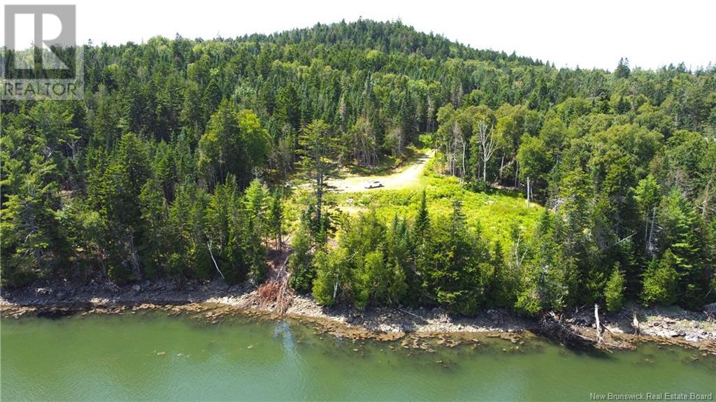 379 Hills Point Road — photo 17
