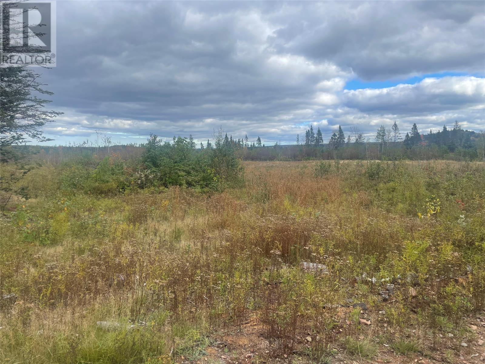 136333 Peter's Pond - Photo 3 of 4, Botwood, Newfoundland & Labrador