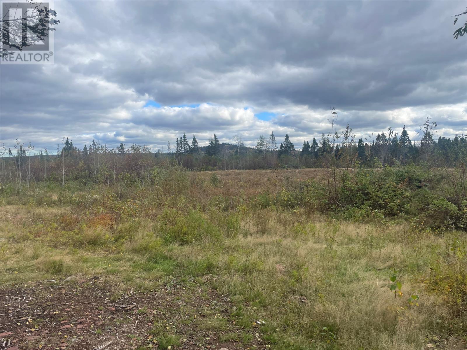 136333 Peter's Pond - Photo 4 of 4, Botwood, Newfoundland & Labrador