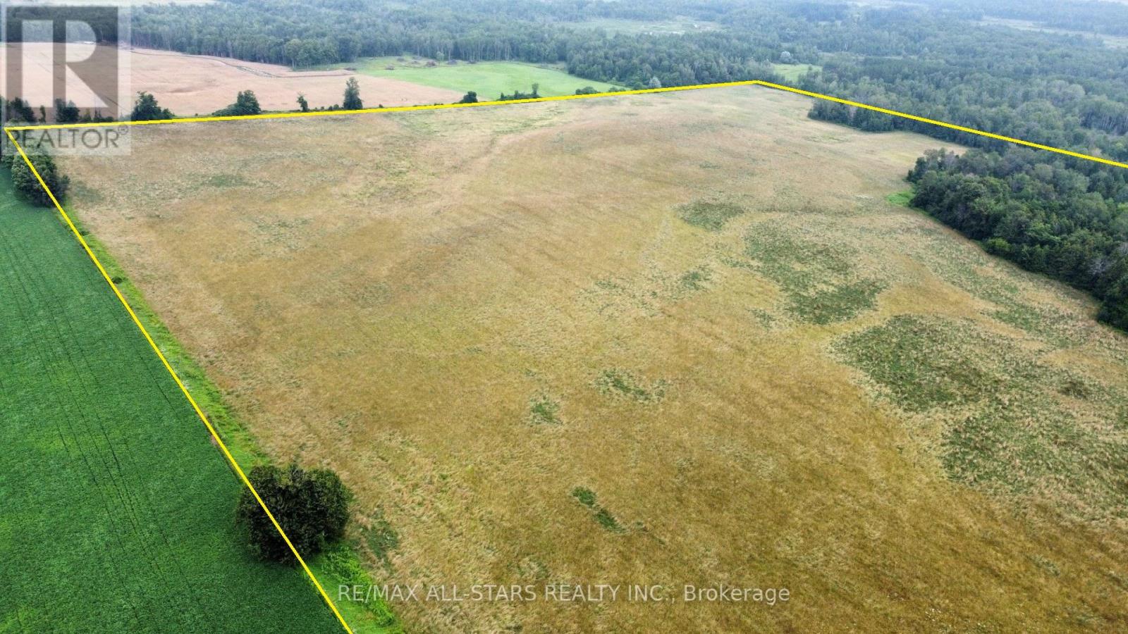 Photo 8 of 1715 Cragg Road, Scugog ON