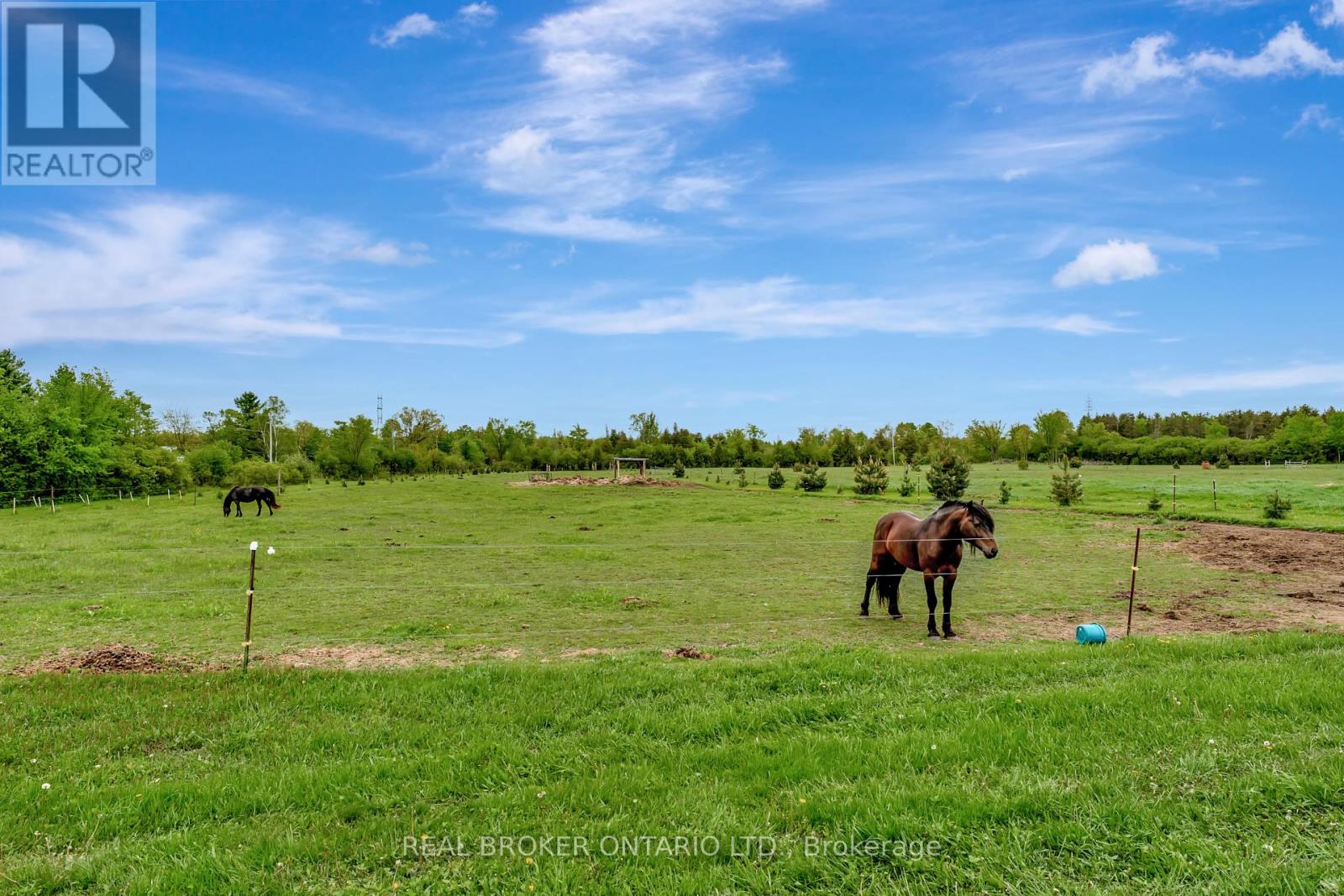 Photo 30 of 174 County 1 Road, Elizabethtownkitley ON