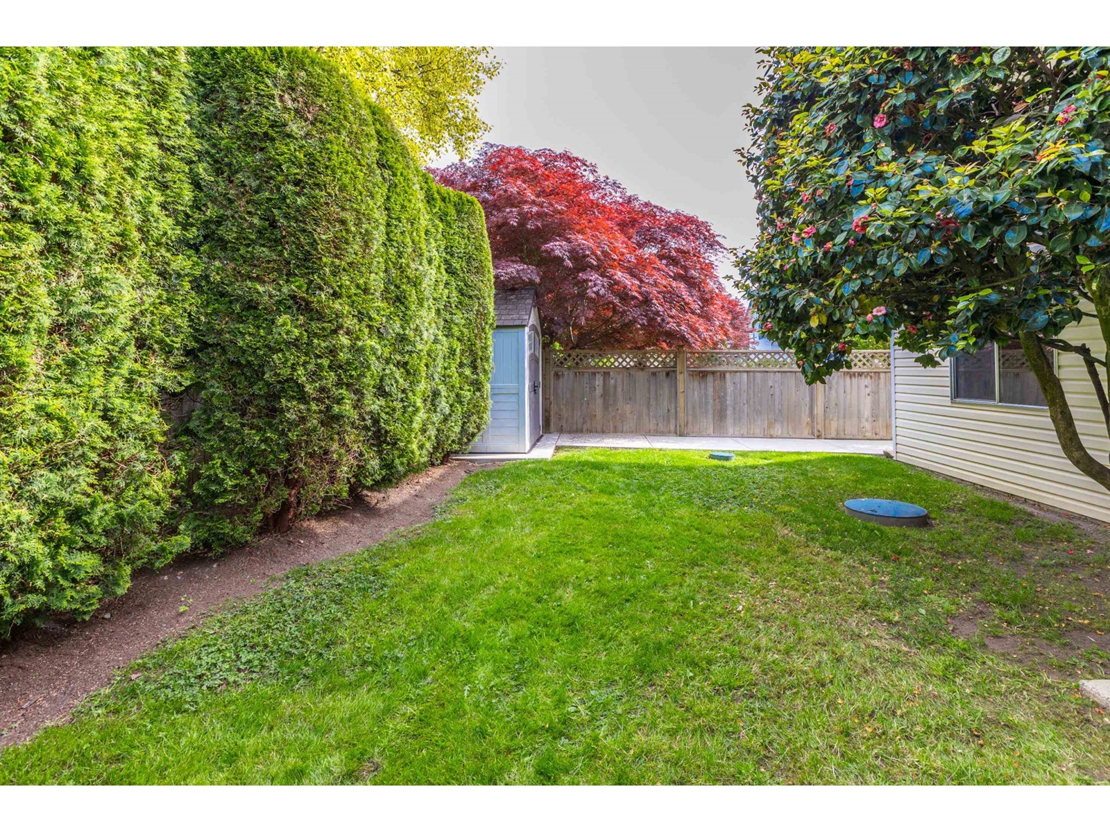Photo 37 of 3376 197 Street, Langley BC