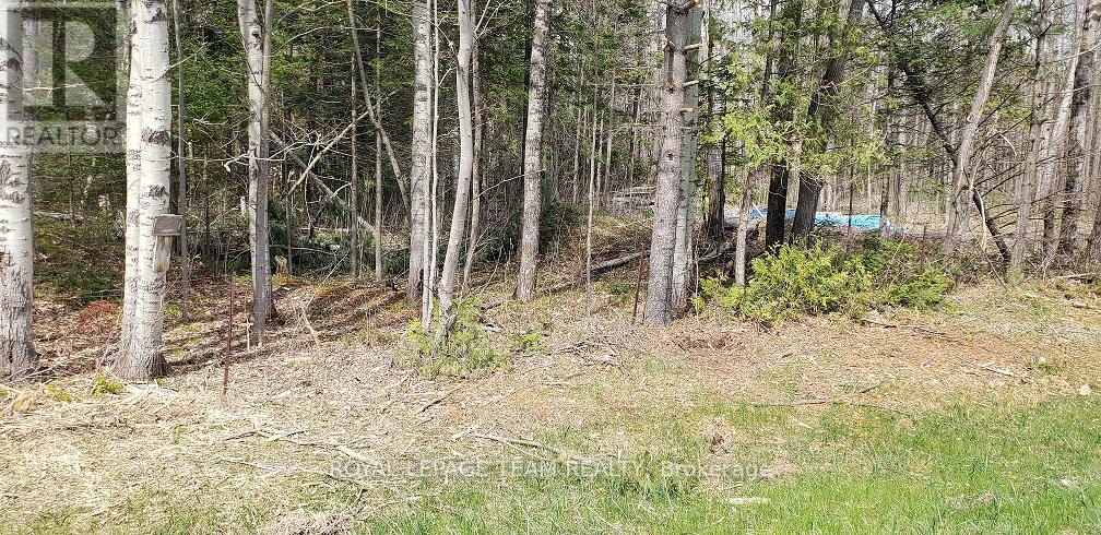 Photo 1 of 000 Burnstown Road W, Mcnab Braeside ON