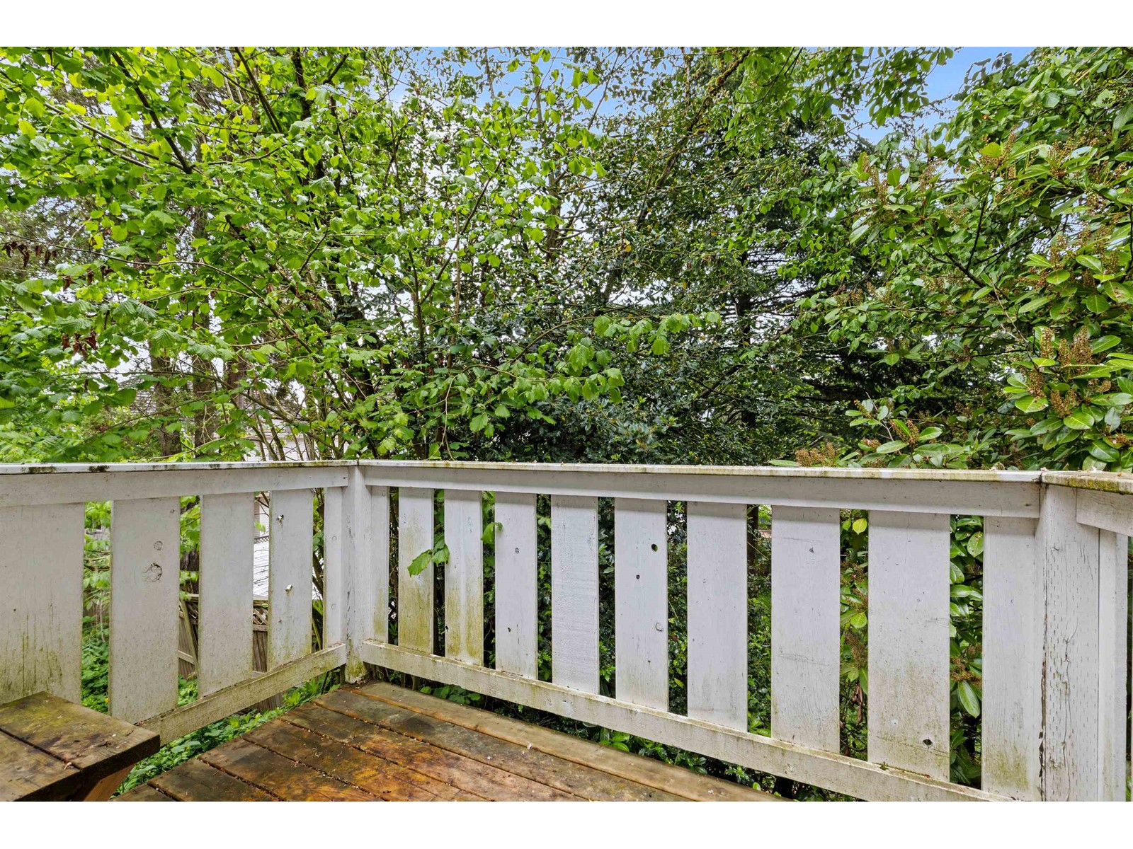 Photo 26 of 6828 144 Street, Surrey BC