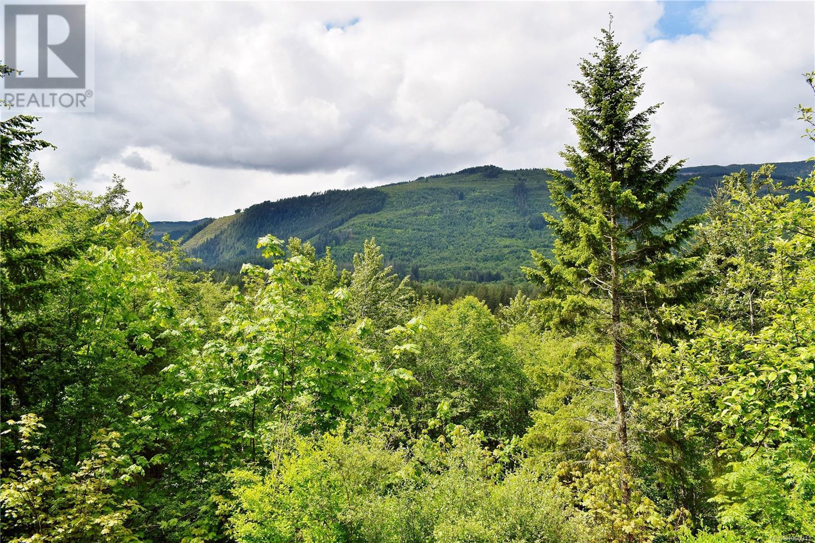 5982 Mayo Rd, Lake Cowichan