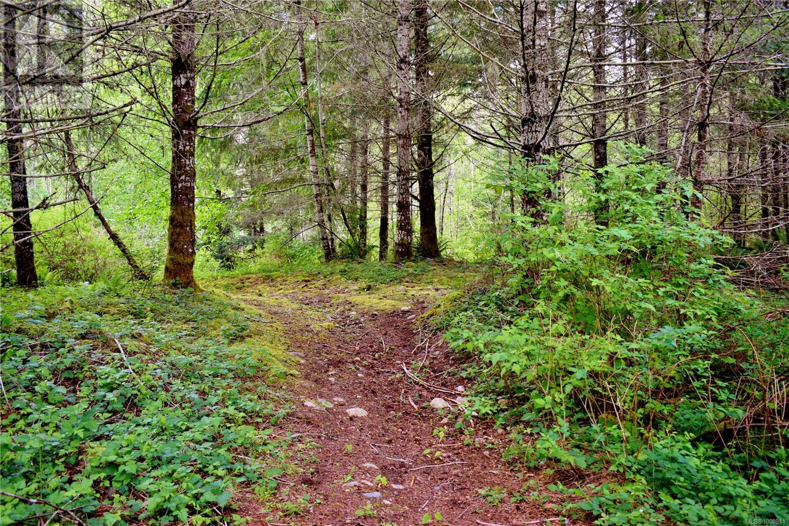 5982 Mayo Rd, Lake Cowichan