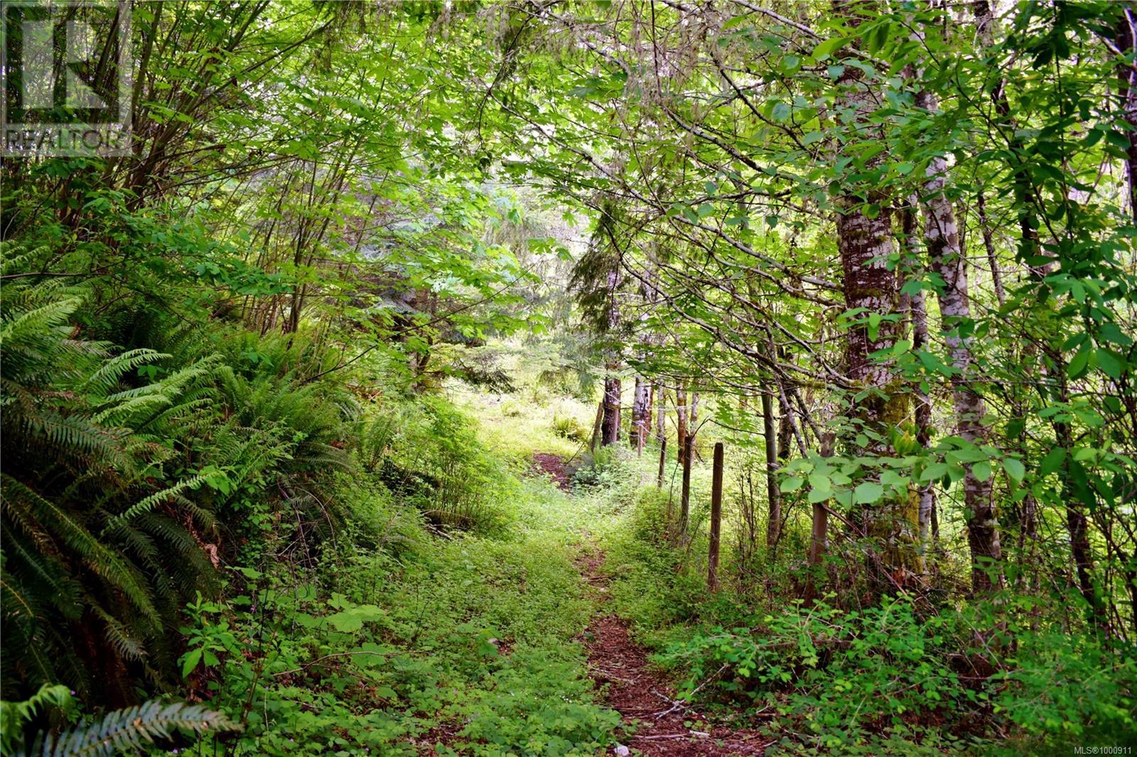 5982 Mayo Rd, Lake Cowichan