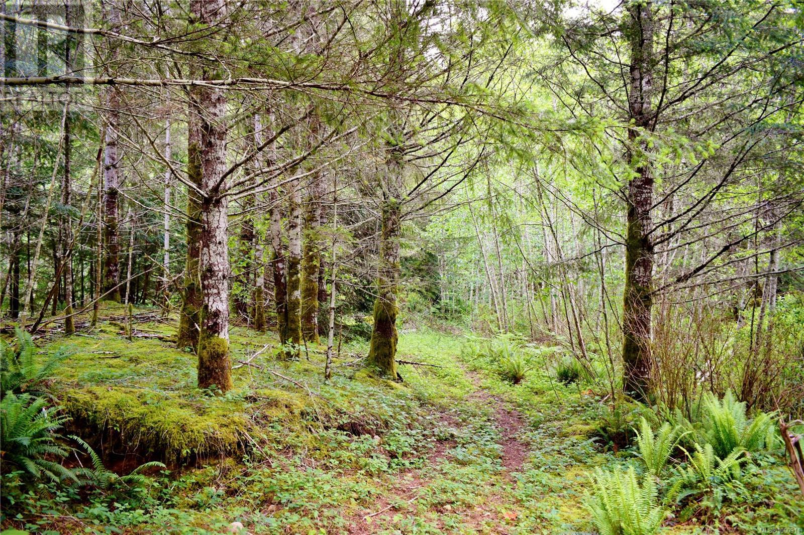 5982 Mayo Rd, Lake Cowichan