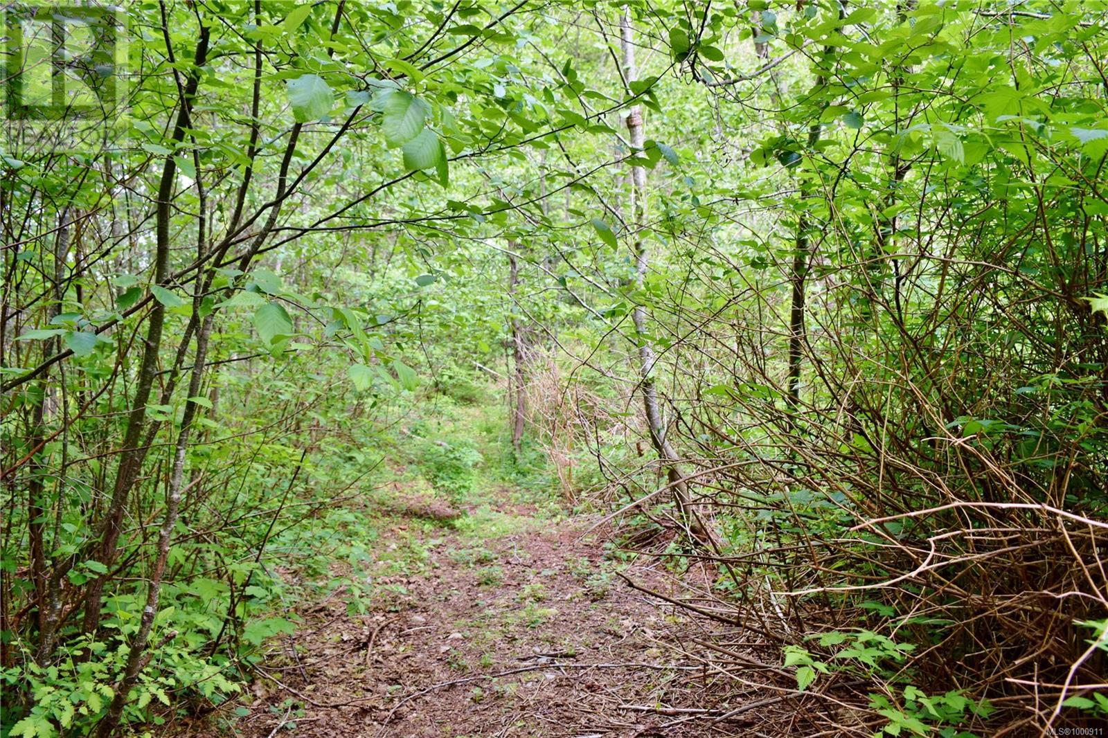 5982 Mayo Rd, Lake Cowichan