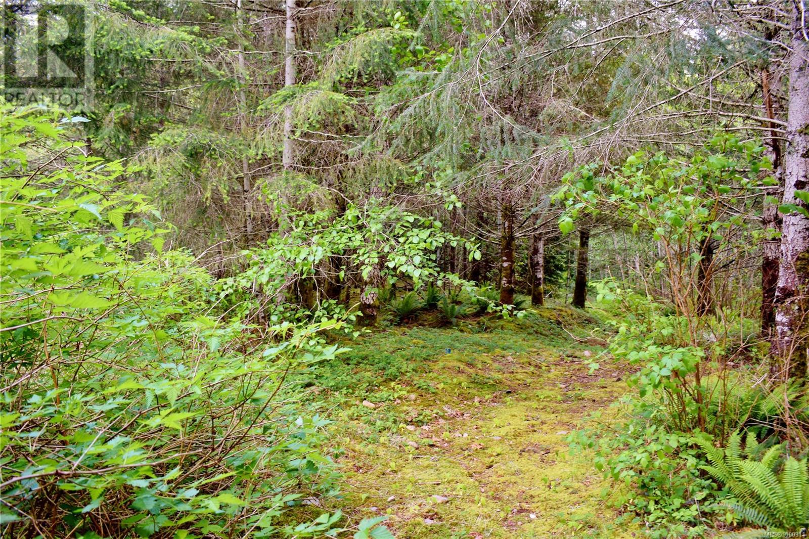 5982 Mayo Rd, Lake Cowichan