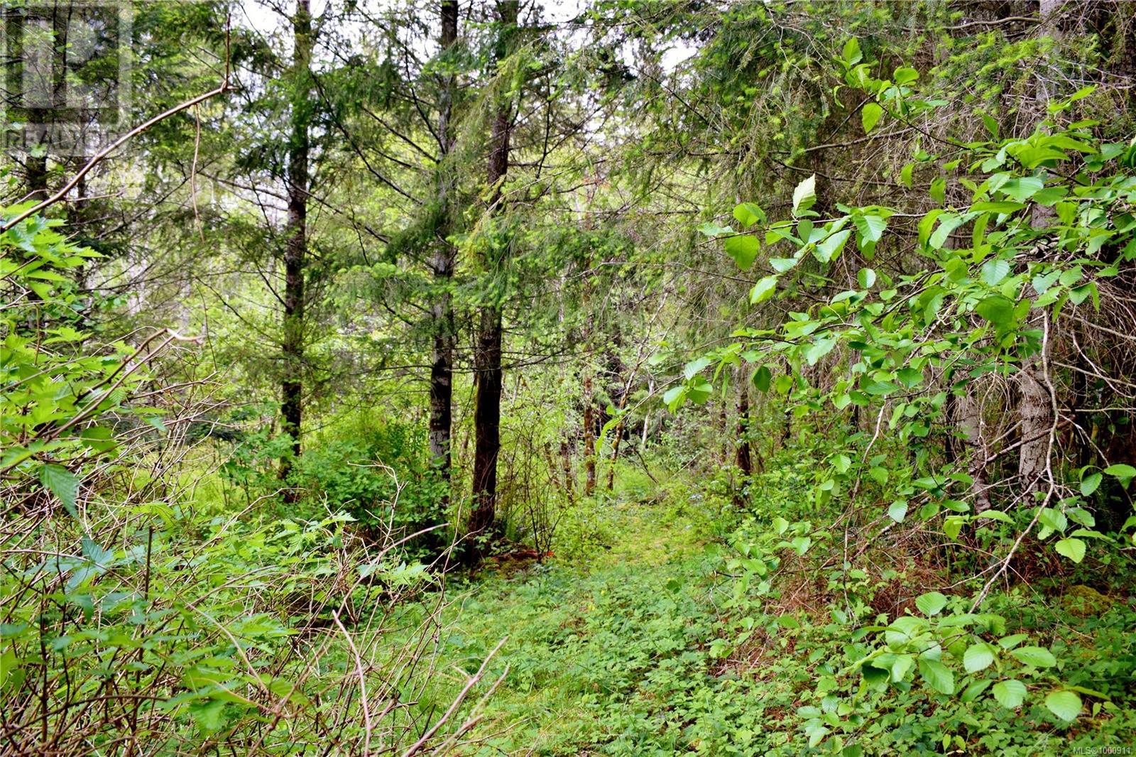 5982 Mayo Rd, Lake Cowichan