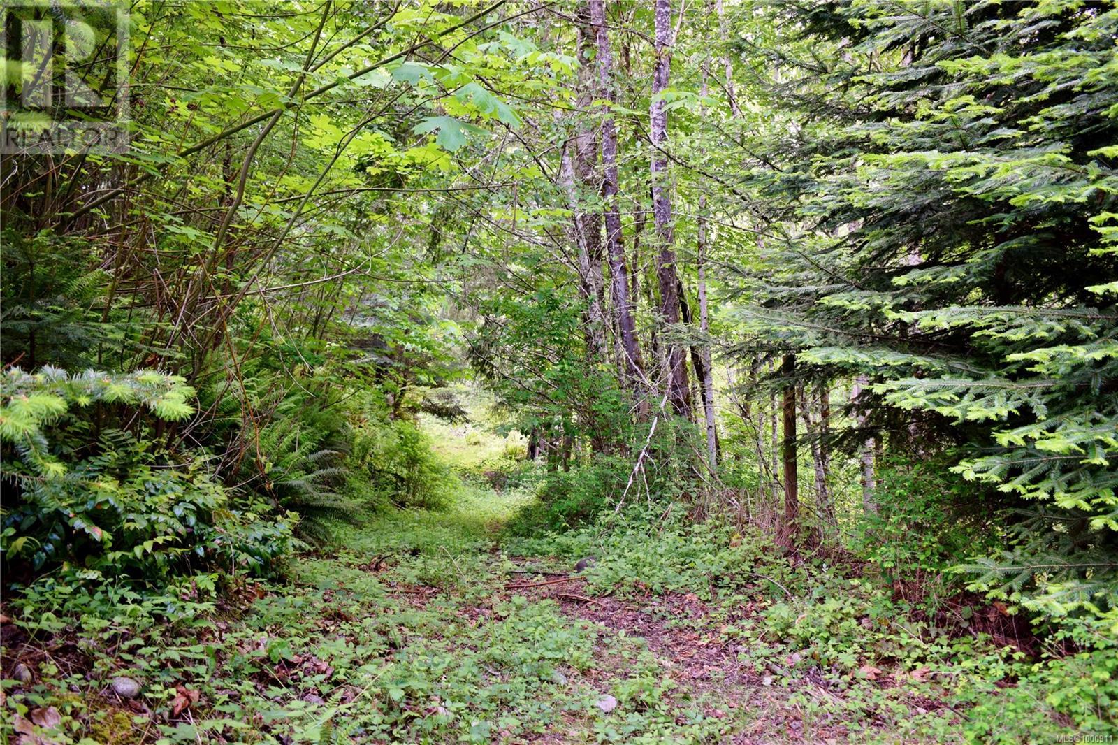 5982 Mayo Rd, Lake Cowichan
