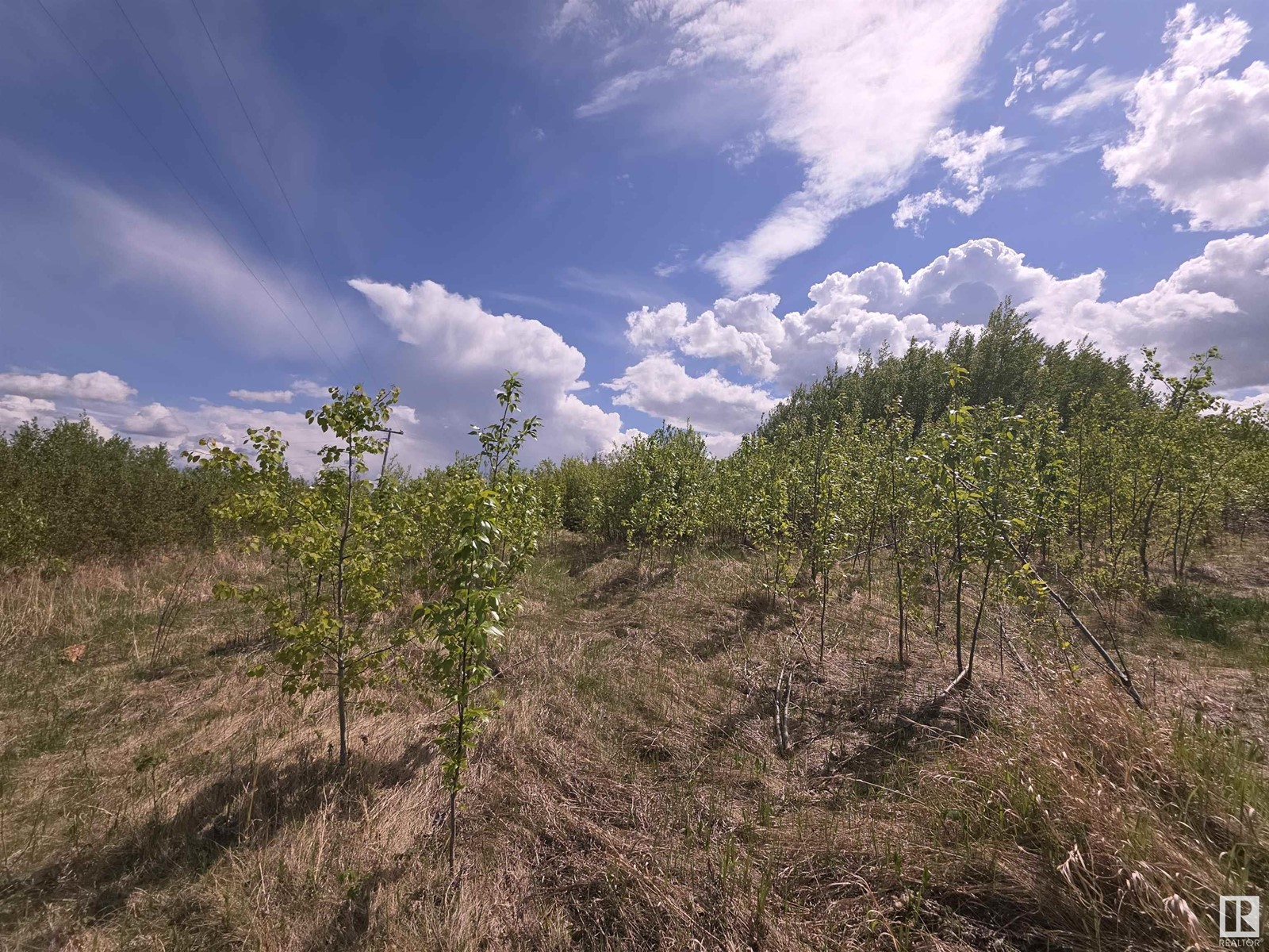 Photo 6 of Lot 1 Plan 2221652 Southshore Dr E, Rural Lesser Slave River Md AB
