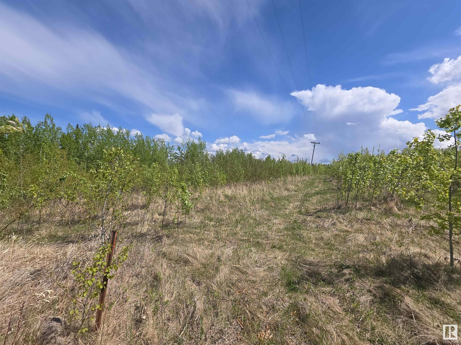 Photo 7 of Lot 1 Plan 2221652 Southshore Dr E, Rural Lesser Slave River Md AB