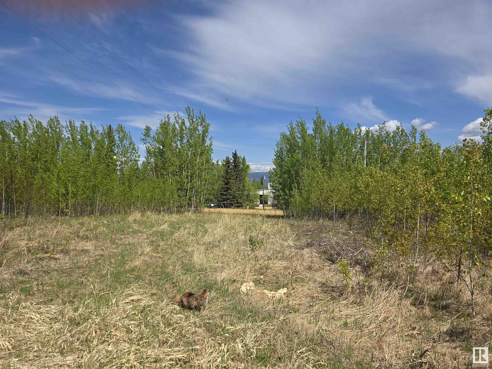 Photo 5 of Lot 1 Plan 2221652 Southshore Dr E, Rural Lesser Slave River Md AB
