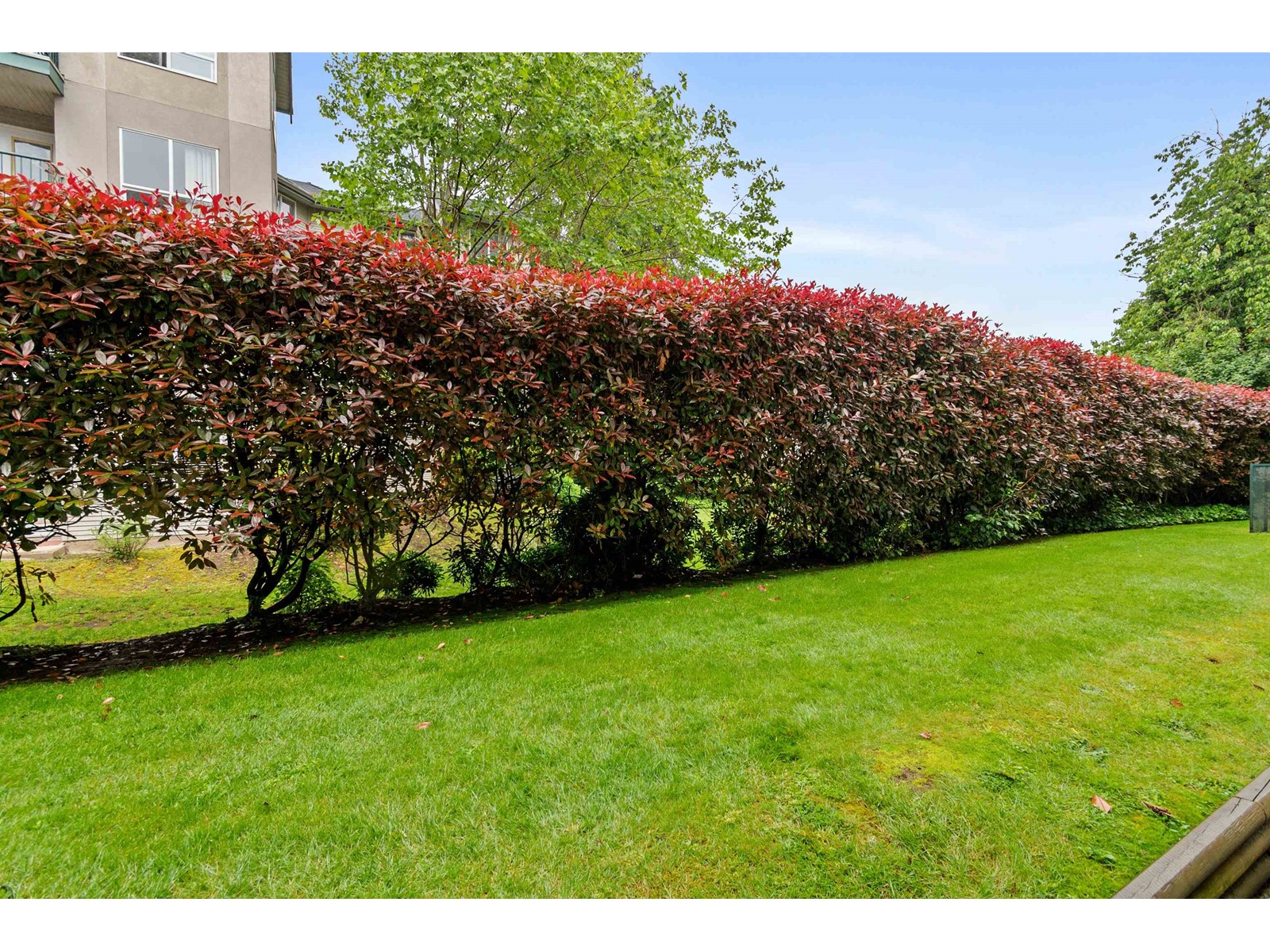 Photo 23 of 107 2435 Center Street, Abbotsford BC
