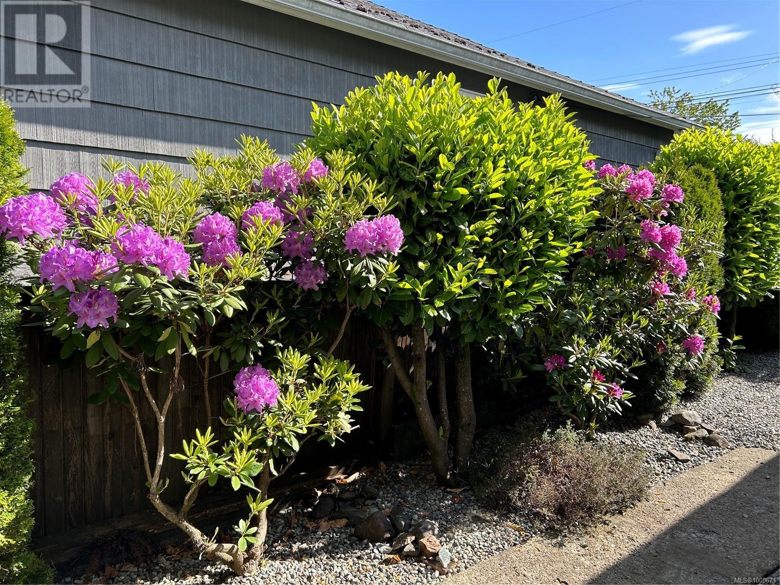 3661 7th Ave, Port Alberni