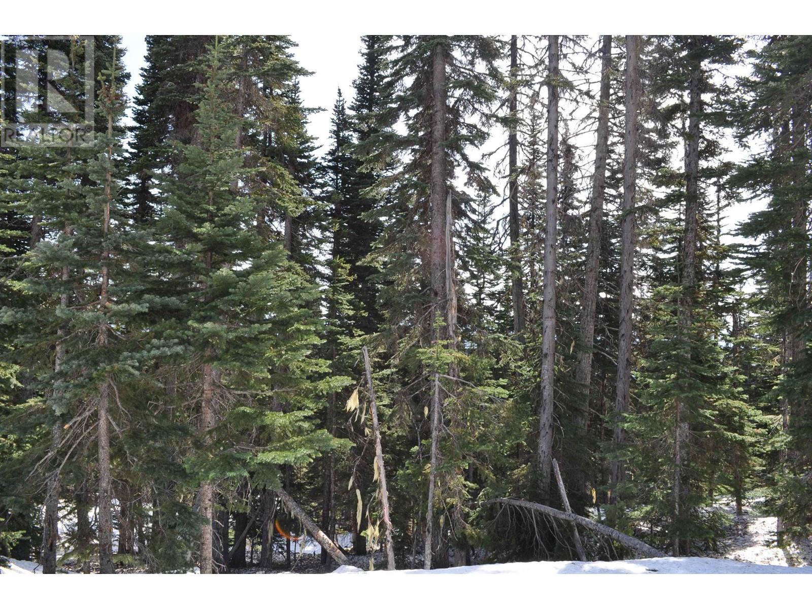 #Pr. St-Lt 8 ALPINE Way, Smithers
