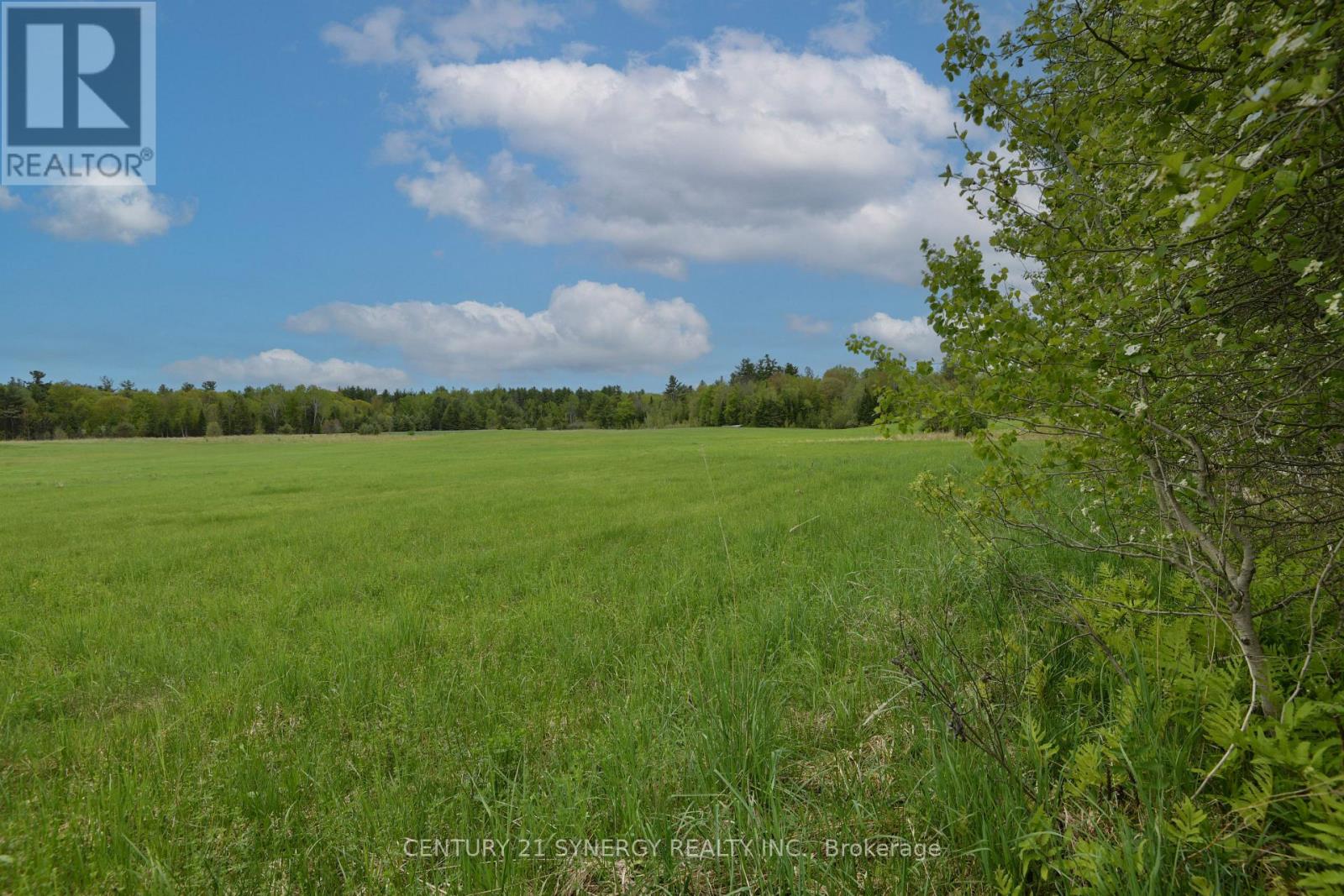 Photo 21 of 00 Milton Stewart Avenue, Mcnab Braeside ON
