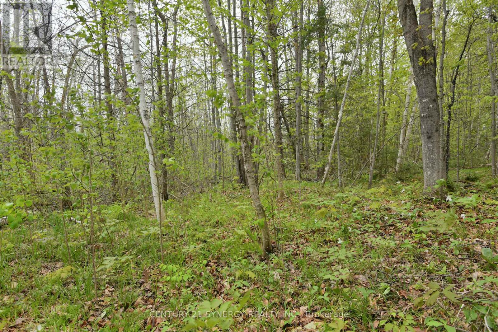 Photo 4 of 00 Milton Stewart Avenue, Mcnab Braeside ON