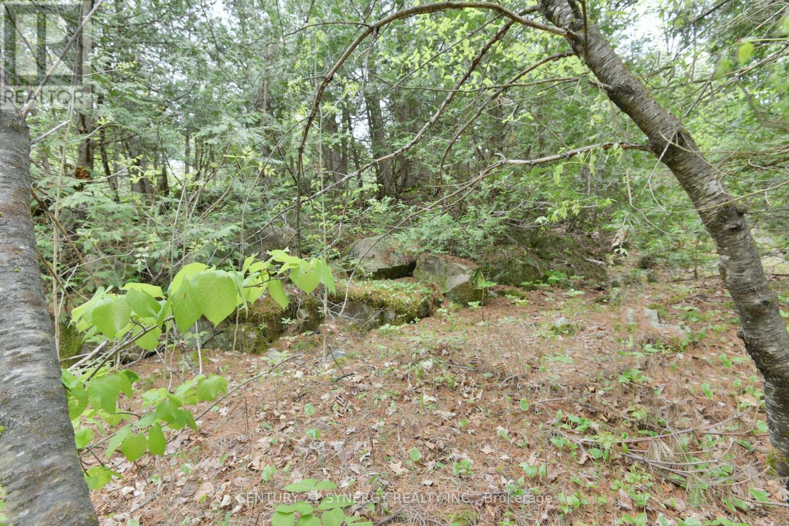 Photo 13 of 00 Milton Stewart Avenue, Mcnab Braeside ON