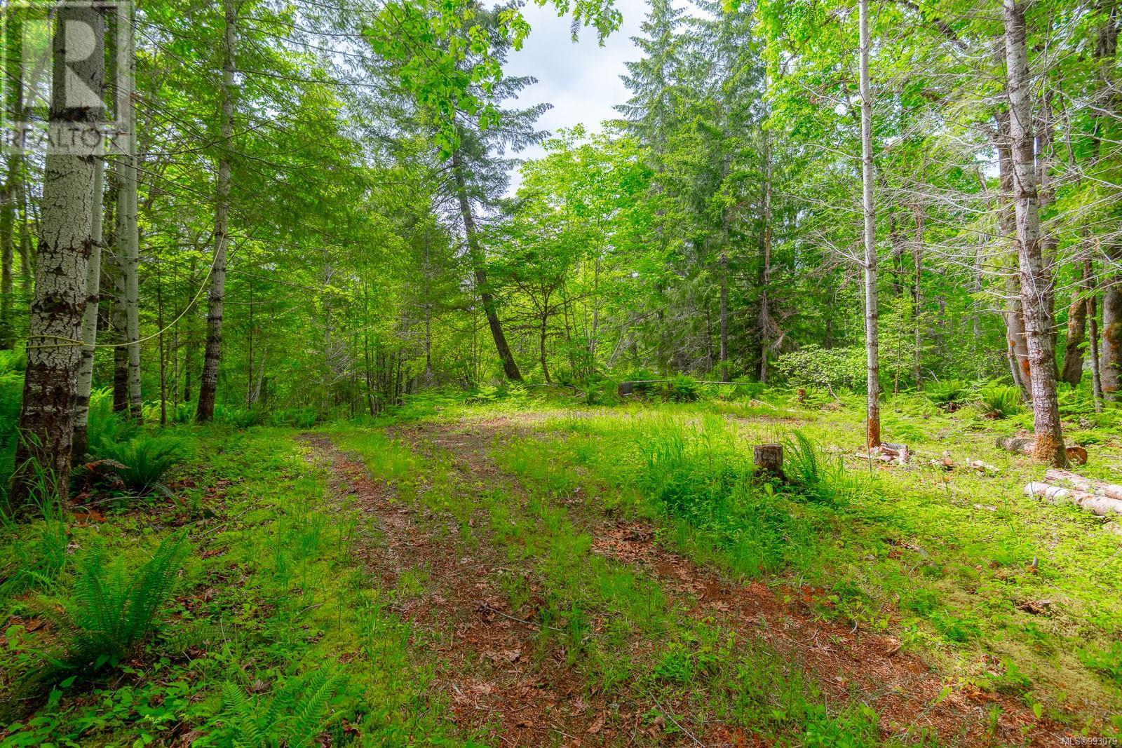 6987 Bainbridge Rd, Port Alberni real estate listing 993079