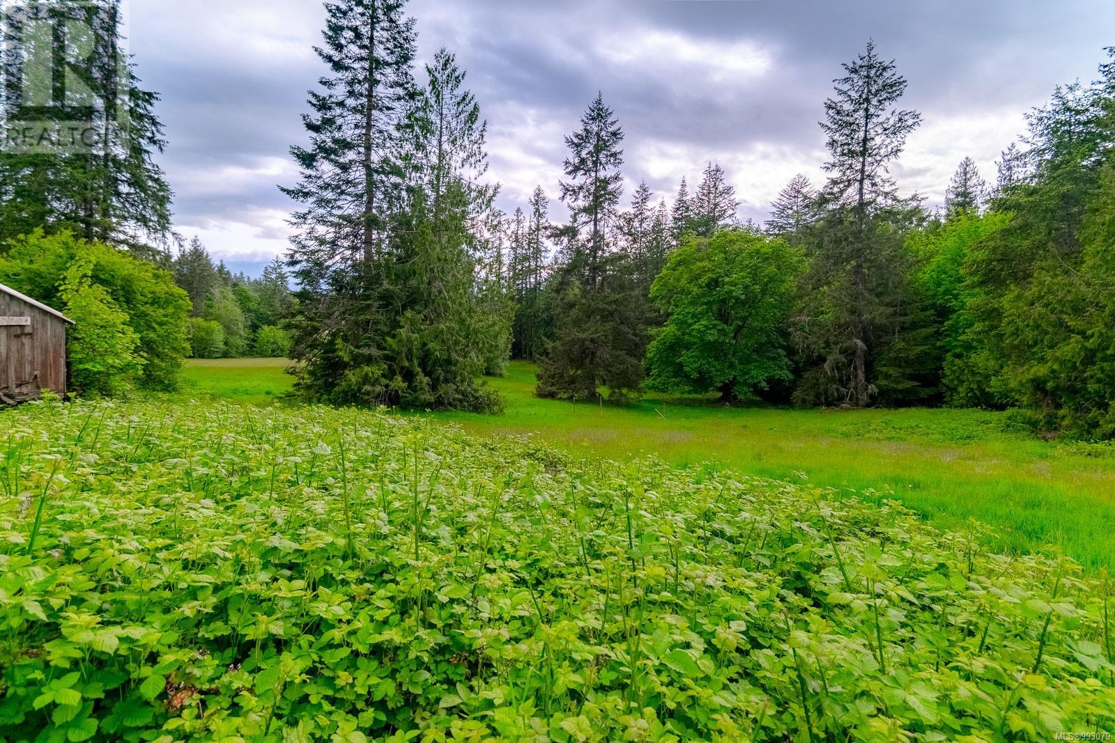 6987 Bainbridge Rd, Port Alberni real estate listing 993079