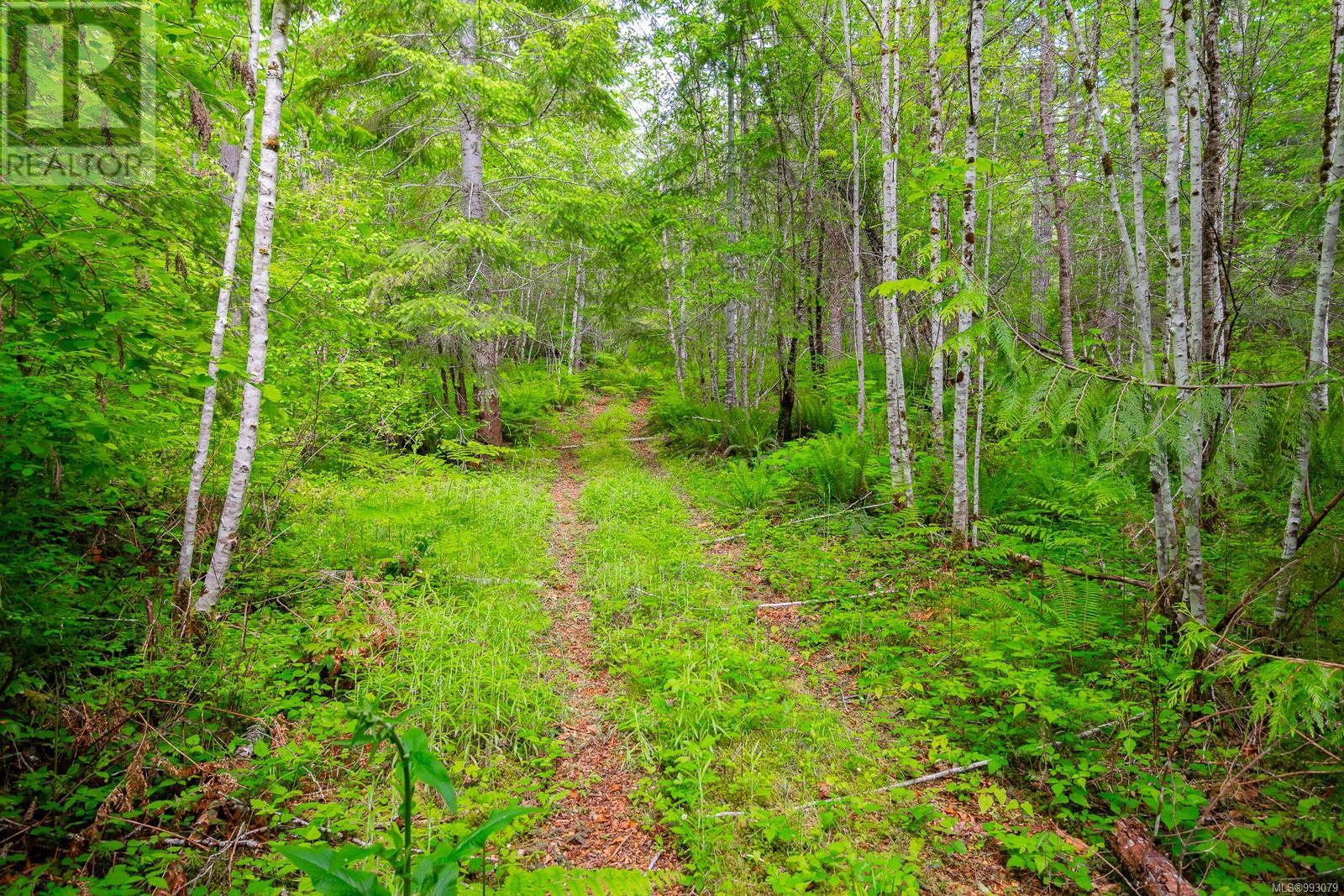 6987 Bainbridge Rd, Port Alberni real estate listing 993079
