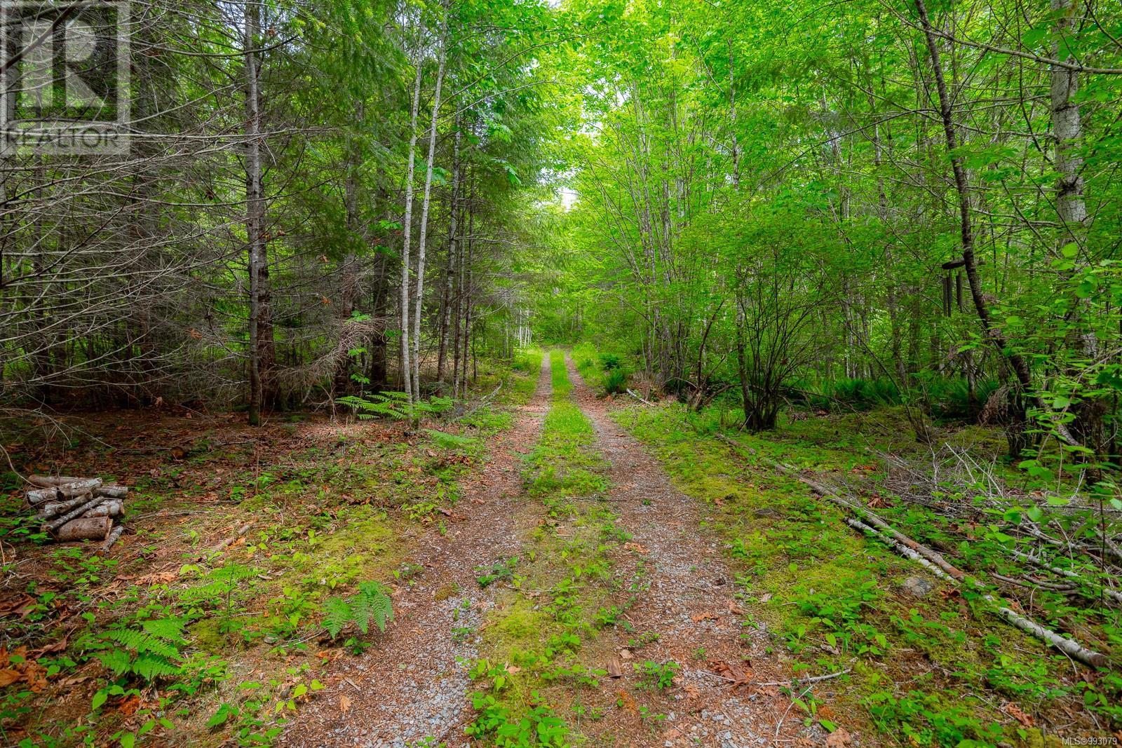 6987 Bainbridge Rd, Port Alberni real estate listing 993079