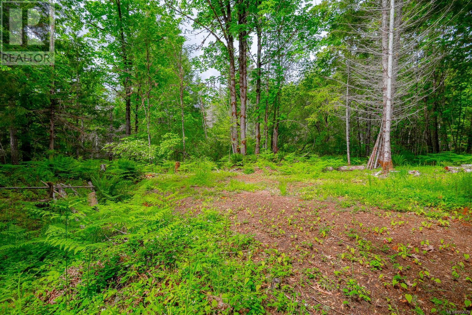 6987 Bainbridge Rd, Port Alberni real estate listing 993079