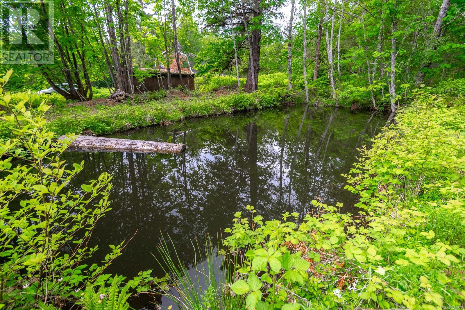 6987 Bainbridge Rd, Port Alberni real estate listing 993079
