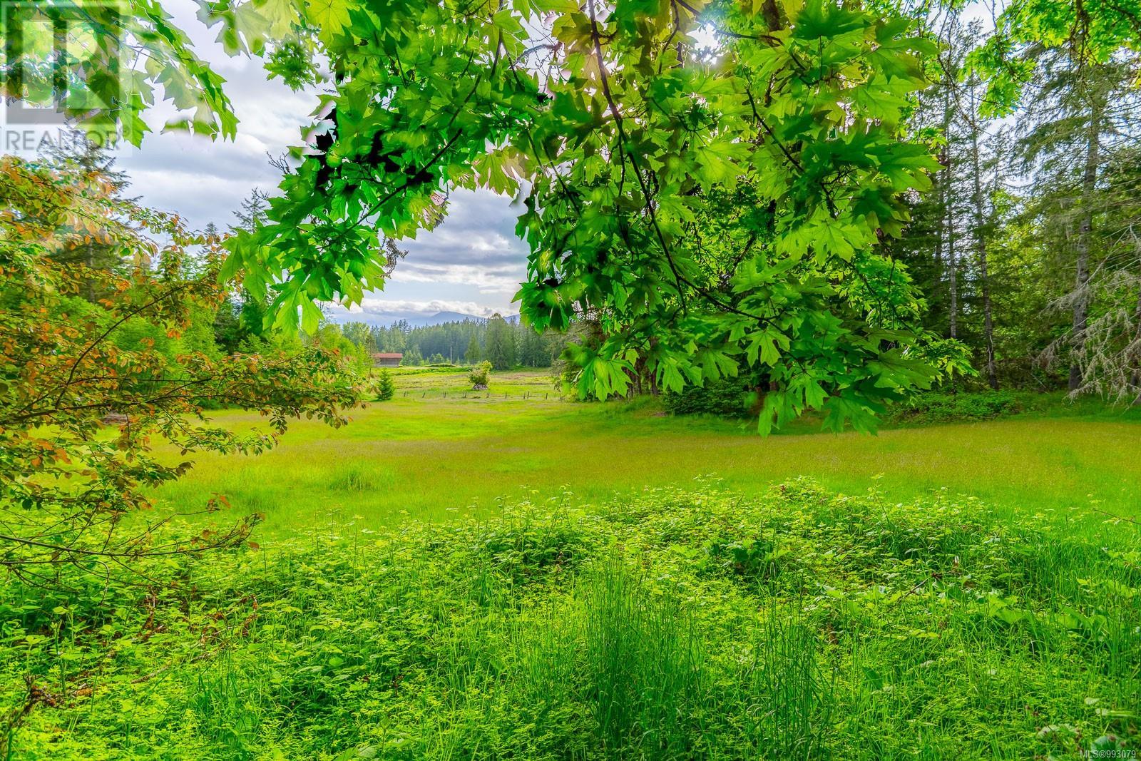 6987 Bainbridge Rd, Port Alberni real estate listing 993079