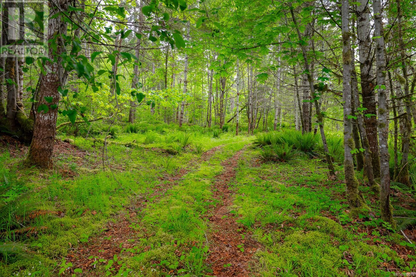 6987 Bainbridge Rd, Port Alberni real estate listing 993079