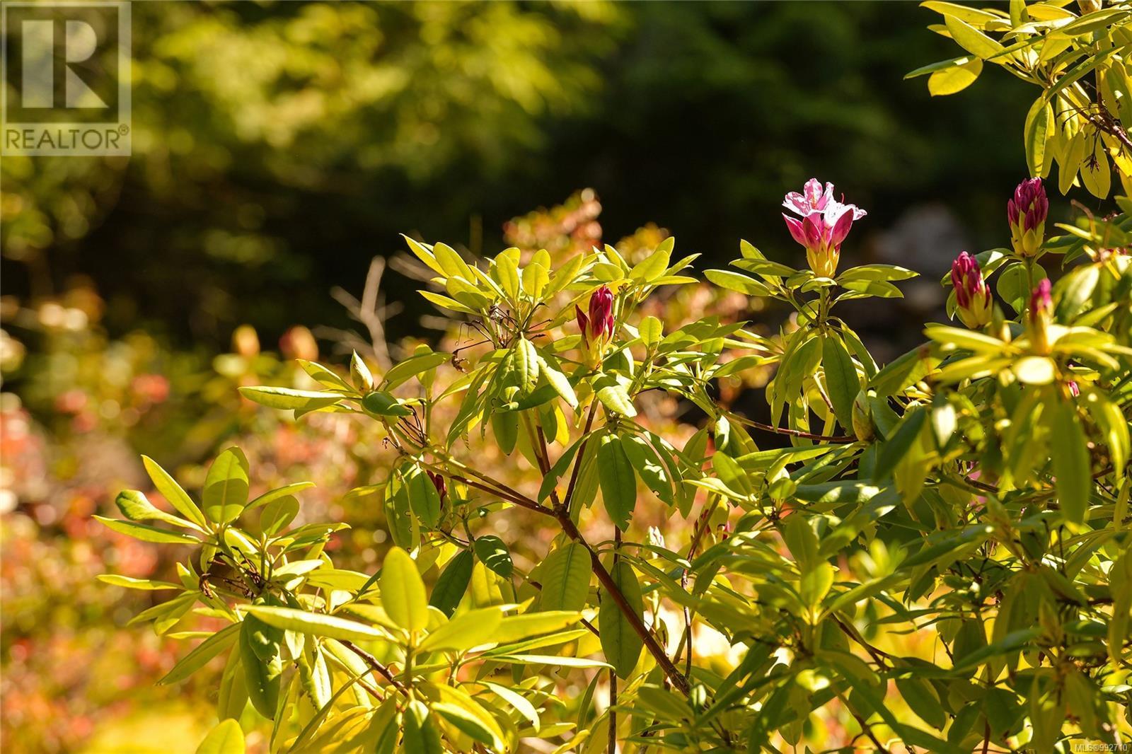  212 Cherry Tree Lane, Mayne Island