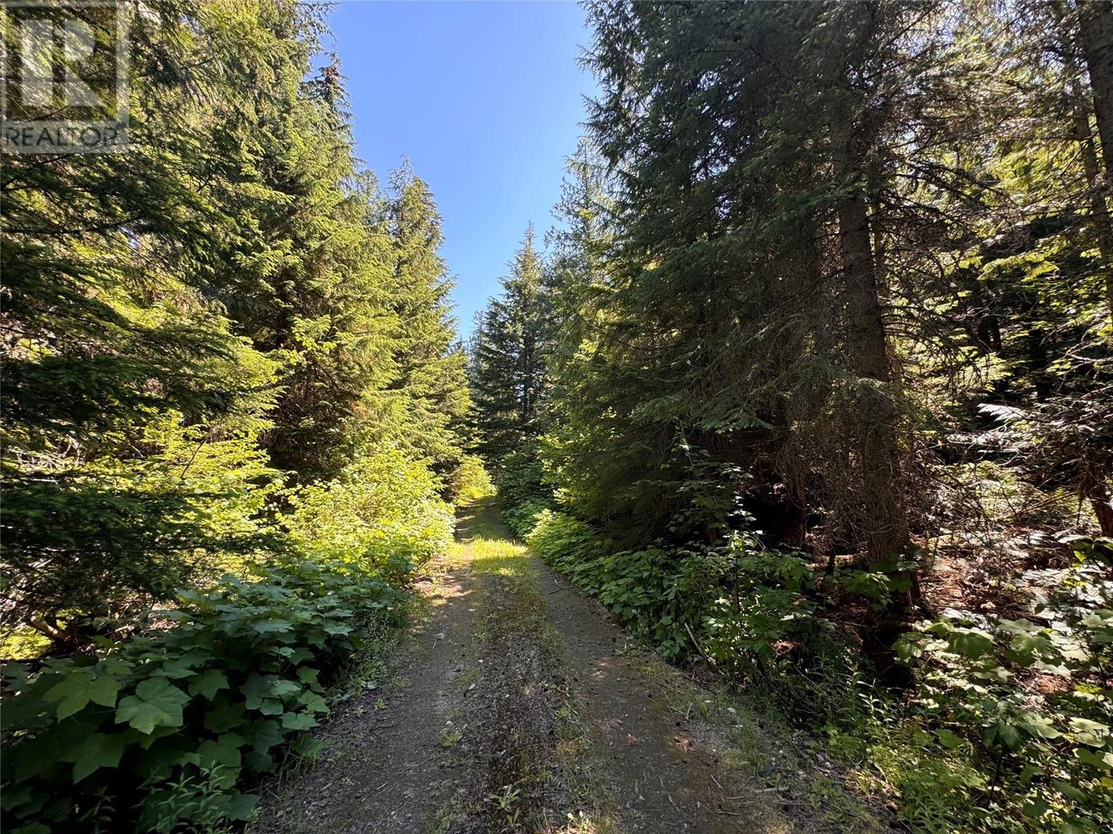 2410 Trinity Valley Road, Enderby