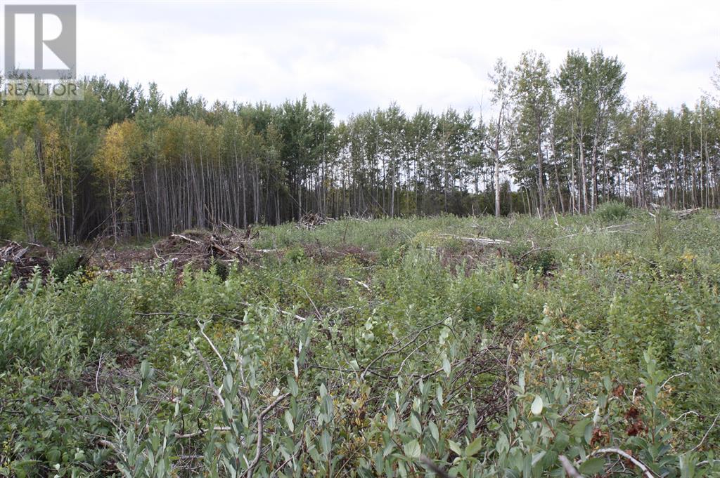 110 67324 MISSION Road, Lac La Biche