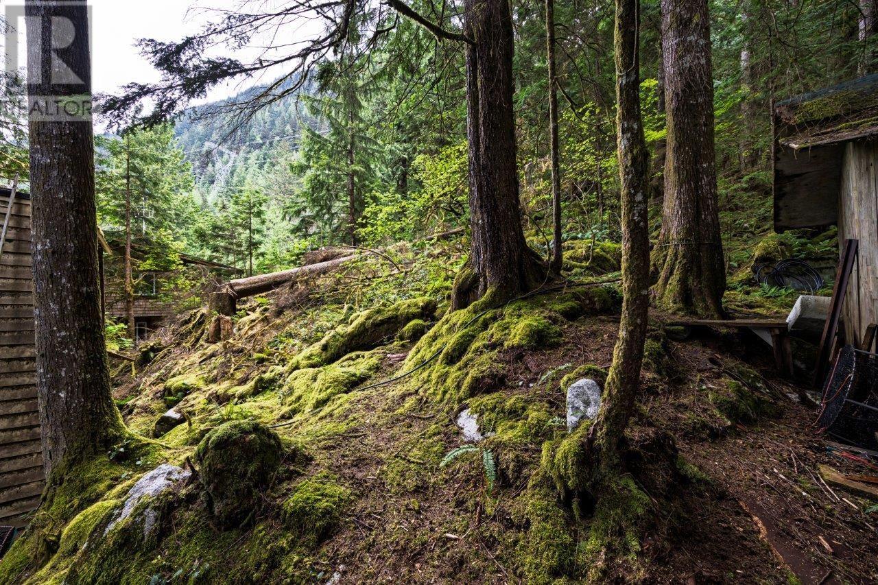 Photo 22 of 11 East Of Croker Island, North Vancouver BC