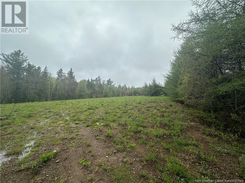 Photo 3 of 0 Big Ferry Road, Miramichi NB