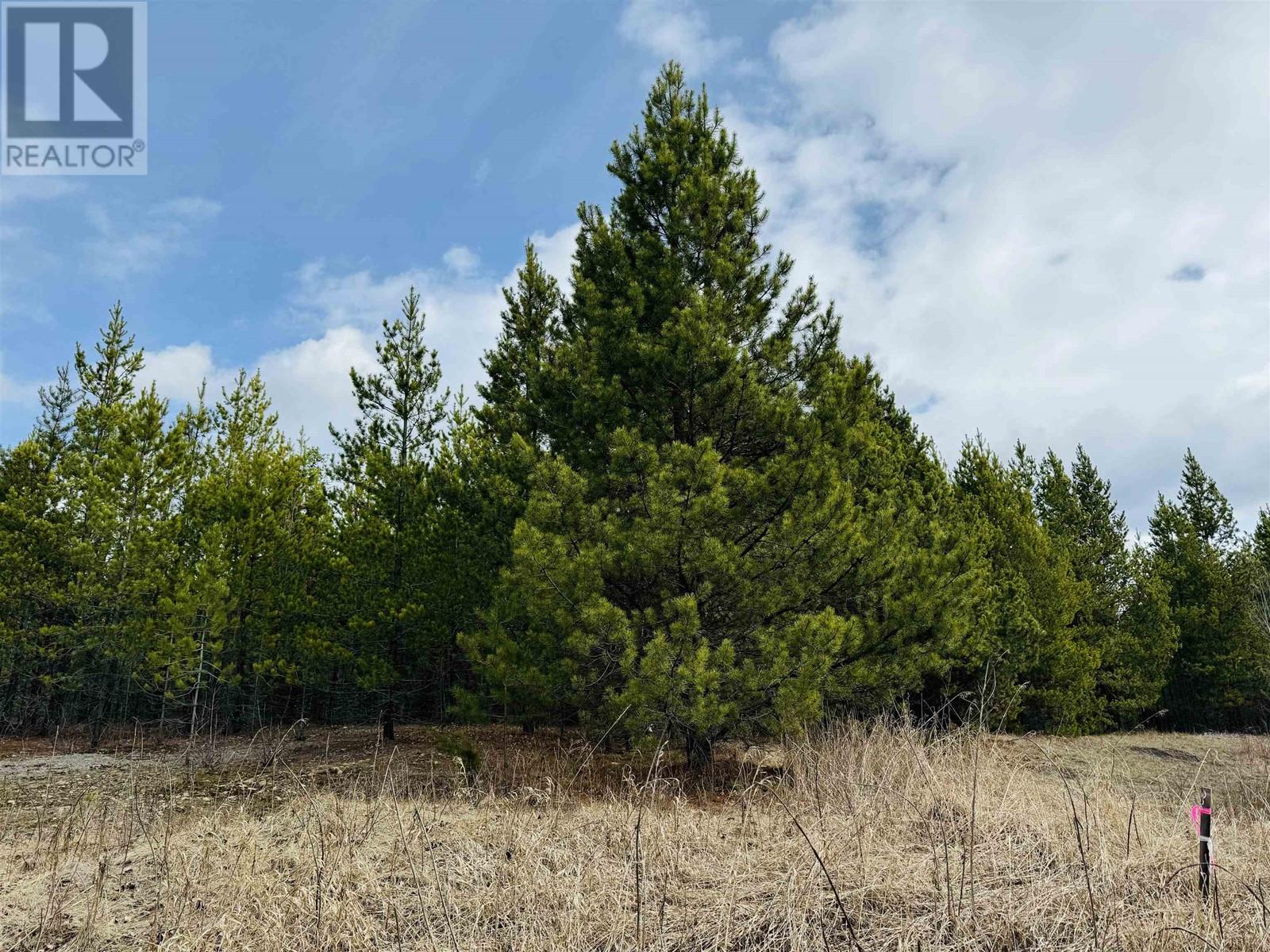 LOT 5 STARVIEW ROAD, Valemount