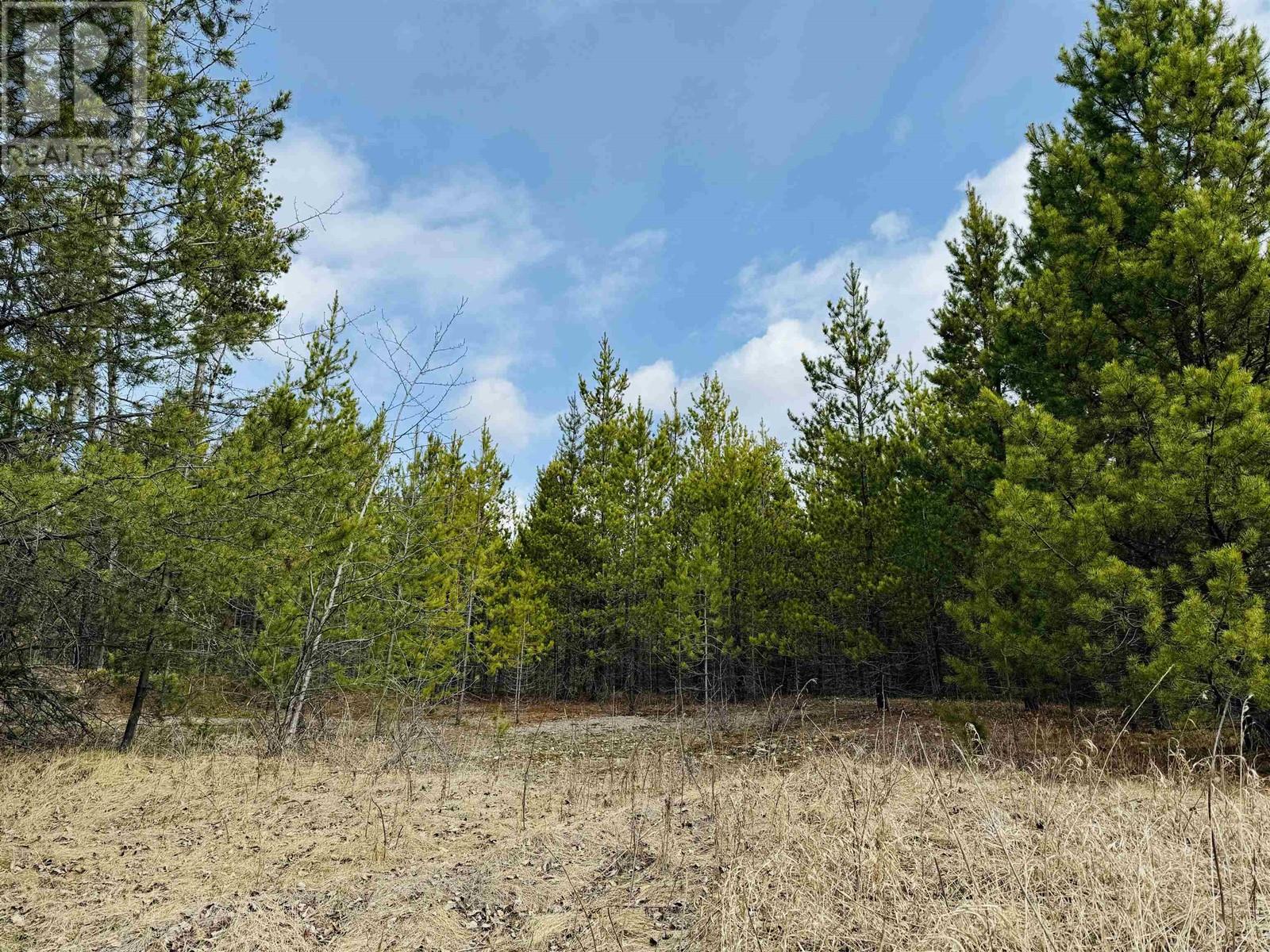 LOT 5 STARVIEW ROAD, Valemount